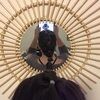 summershaffe129